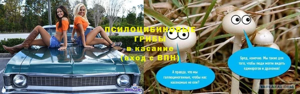марки lsd Белокуриха