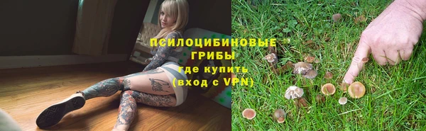 хмурый Семилуки