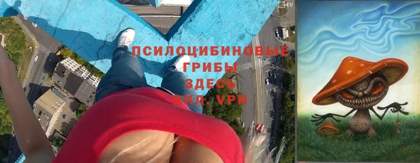 марки lsd Белокуриха