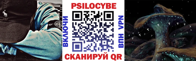 Псилоцибиновые грибы Cubensis blacksprut ссылка Славгород наркошоп