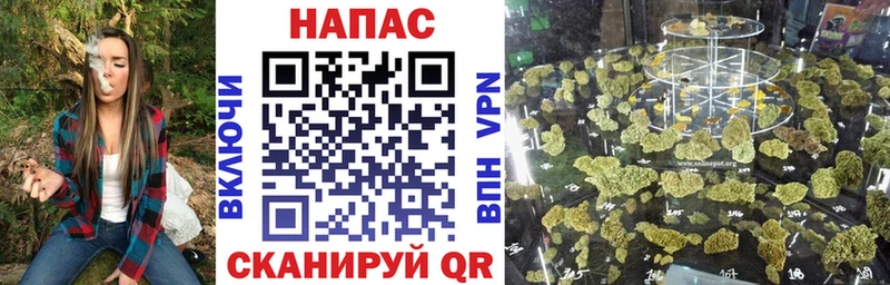 МАРИХУАНА планчик  даркнет состав  Славгород  наркошоп 